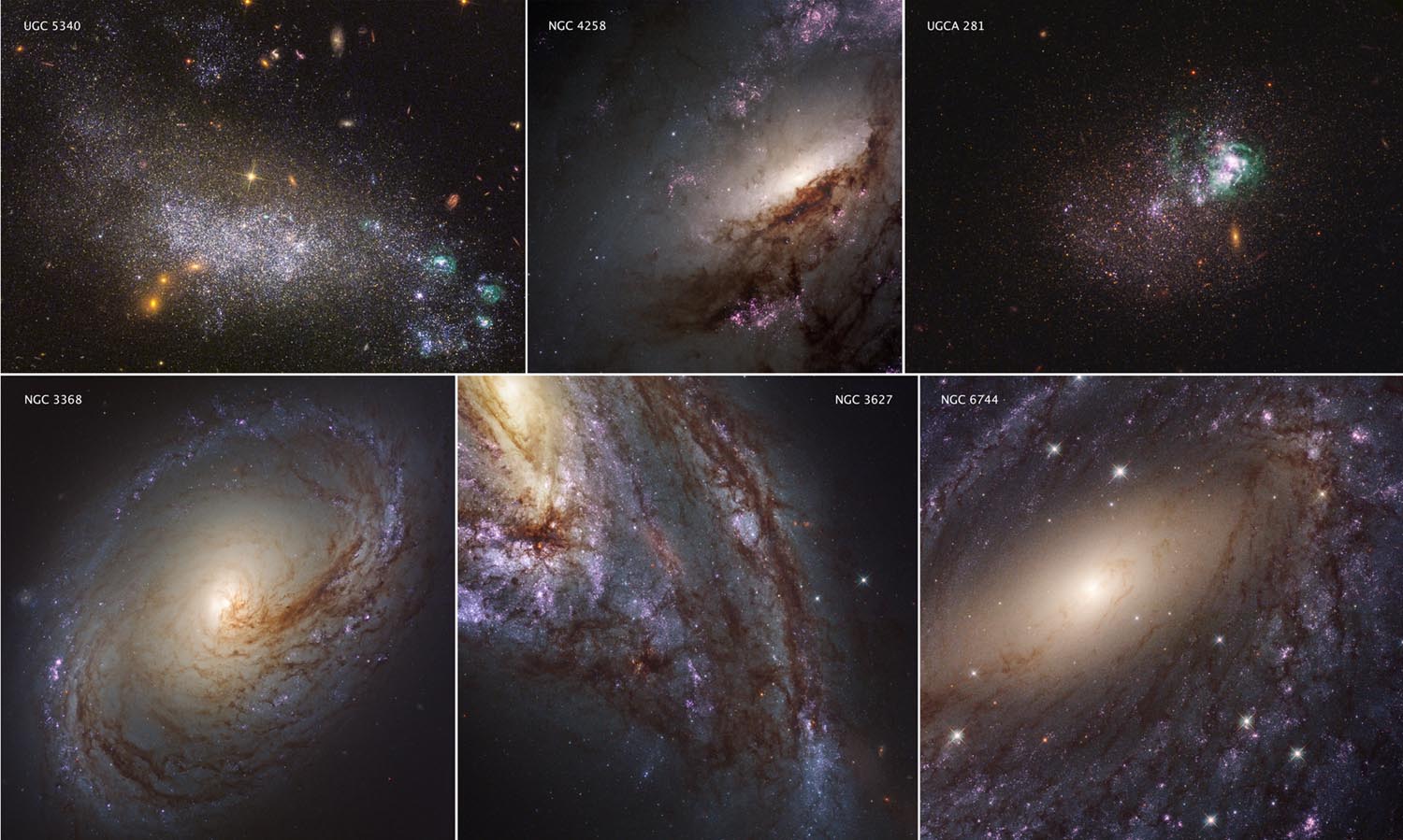 Hubble samples 50 star-forming spiral and dwarf galaxies