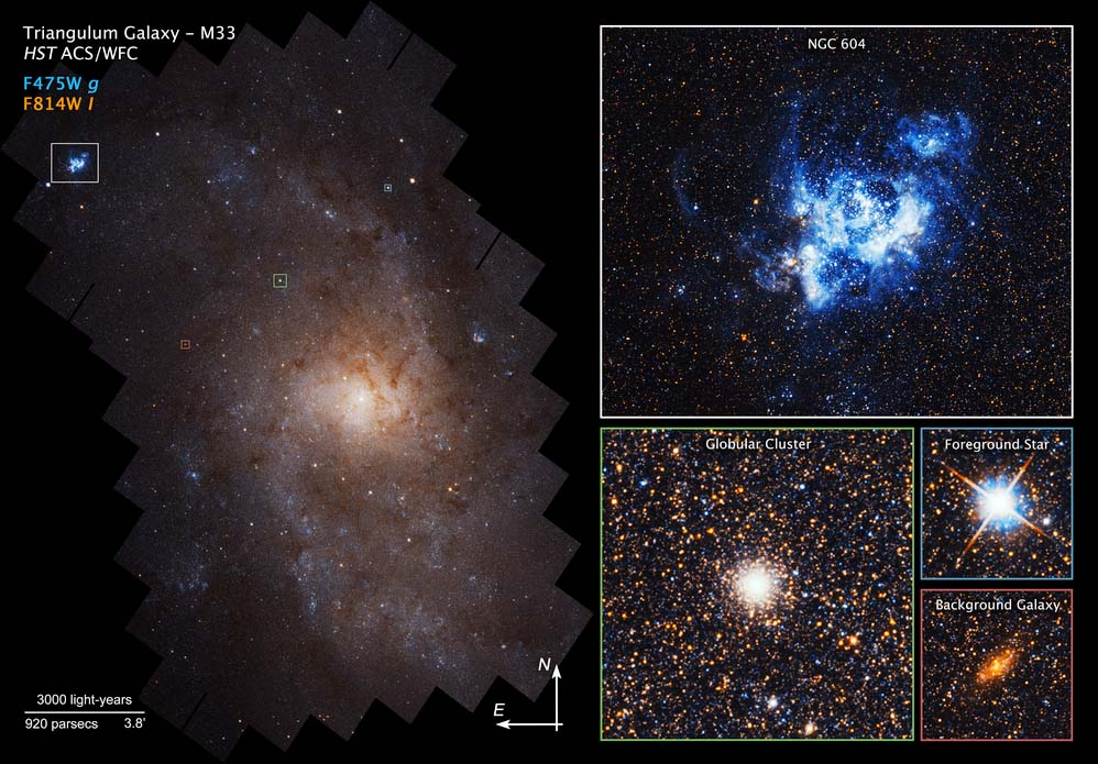Stsci Triangulum Galaxy Shows Stunning Face In Detailed Hubble Portrait Aura Astronomy