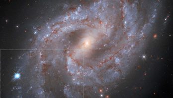 STScI: Hubble Watches Exploding Star Fade into Oblivion