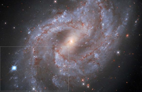 STScI: Hubble Watches Exploding Star Fade into Oblivion
