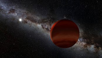 NOIRLab: Cool New Worlds Found in Our Cosmic Backyard