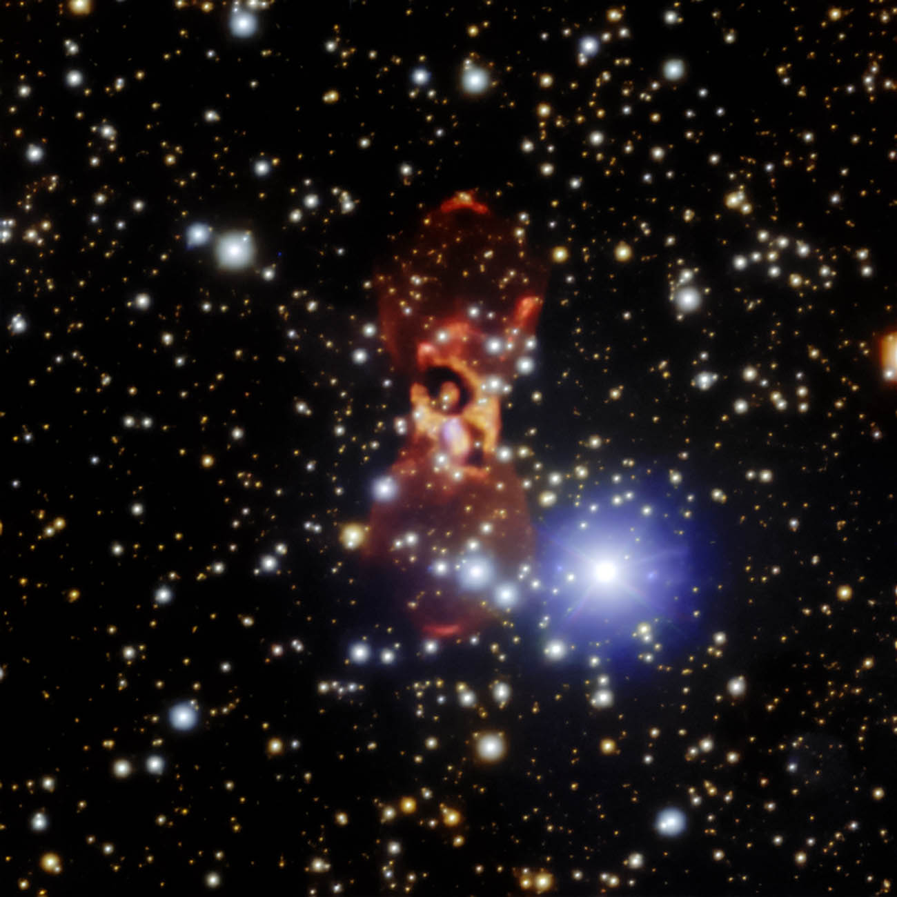 The enigmatic CK Vulpeculae nebula. The team of astronomers measured the speeds and changes in positions of the two small reddish arcs about 1/4 of the way up from the bottom and 1/4 of the way down from the top to help determine that the nebula is expanding five times faster than previously thought.