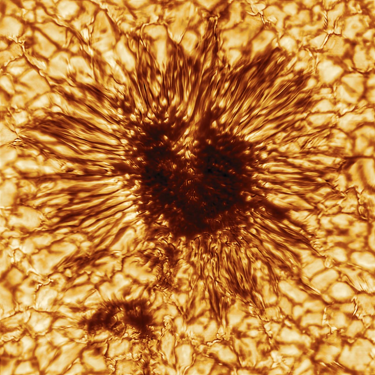 This is the first sunspot image taken on January 28, 2020 by the NSF’s Inouye Solar Telescope’s Wave Front Correction context viewer. 