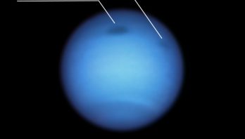 Images of Neptune's Dark spots