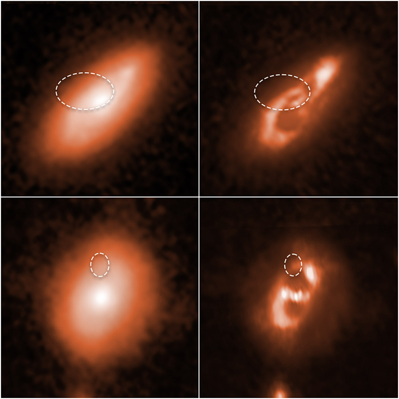 Astronomers using the Hubble Space Telescope have tracked down two brief, powerful radio bursts to the spiral arms of the two galaxies shown at top and bottom of this image. The catalogue names of the bursts are FRB 190714, top row, and FRB 180924, bottom row.

The galaxies are far from Earth, appearing as they looked billions of years ago. The dotted oval lines in each of the four images mark the location of the brilliant radio flares. The two images at left show the full Hubble snapshots of each galaxy.
