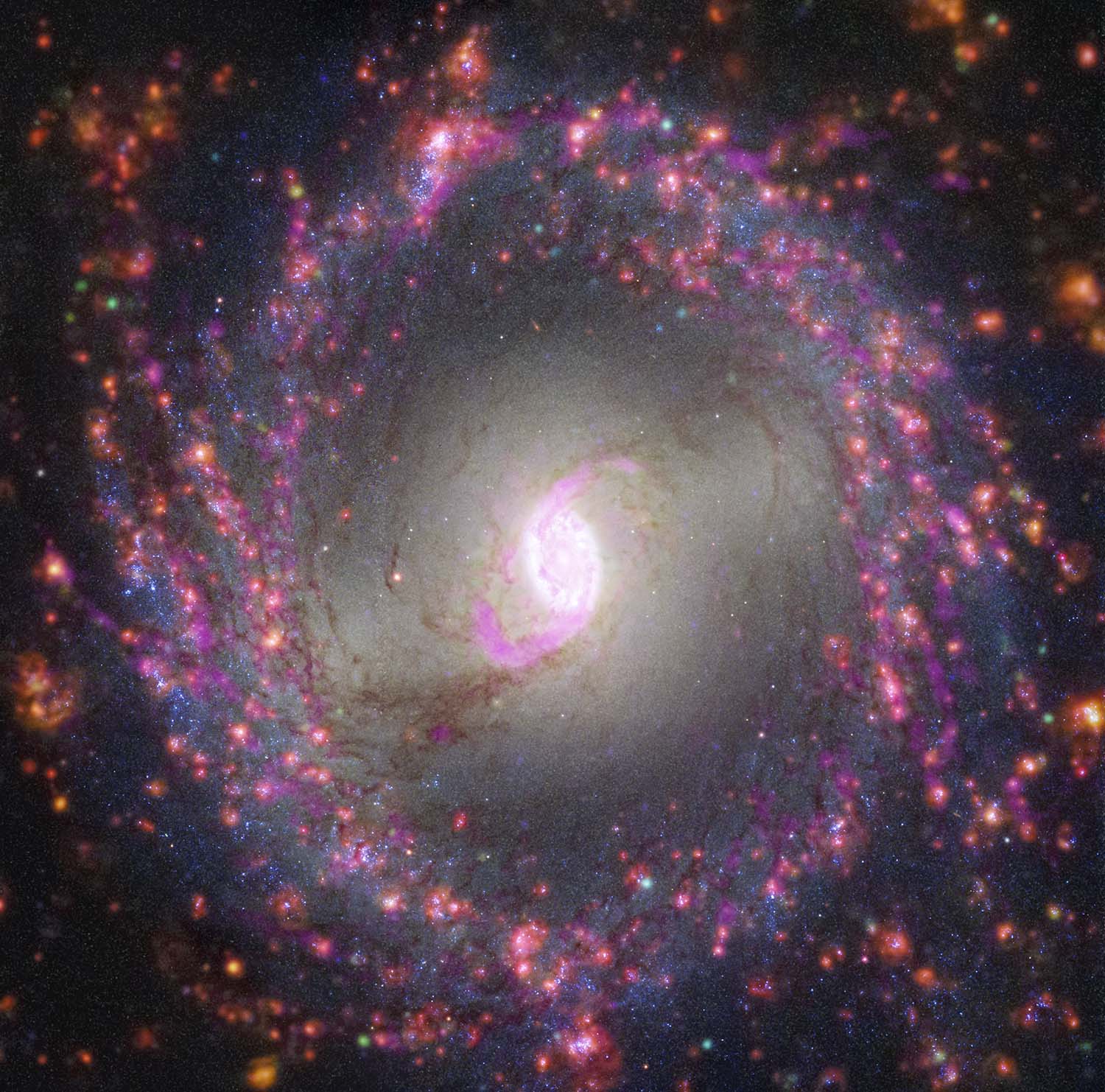 This image of spiral galaxy NGC 3351 combines observations from several observatories to reveal details about its stars and gas. Radio observations from the Atacama Large Millimeter/submillimeter Array (ALMA), show dense molecular gas in magenta. The Very Large Telescope’s Multi Unit Spectroscopic Explorer (MUSE) instrument, highlights where young massive stars illuminate their surroundings in red. The Hubble Space Telescope’s images highlight dust lanes in white and newly formed stars in blue. High-resolution infrared images from the Webb Space Telescope will help researchers identify where stars are forming behind dust and study the earliest stages of star formation in this galaxy.