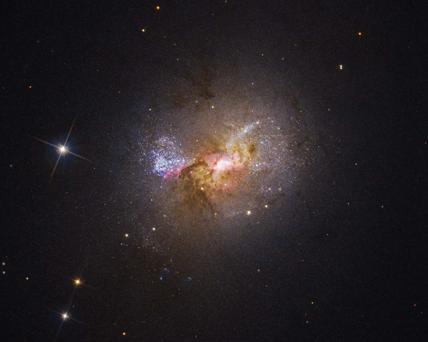 Dwarf starburst galaxy Henize 2-10 sparkles with young stars in this Hubble visible-light image. The bright region at the center, surrounded by pink clouds and dark dust lanes, indicates the location of the galaxy's massive black hole and active stellar nurseries. CREDITS:SCIENCE: NASA, ESA, Zachary Schutte (XGI), Amy Reines (XGI) IMAGE PROCESSING: Alyssa Pagan (STScI) 
