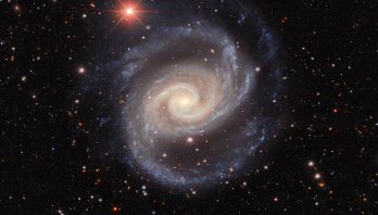 This image, taken by astronomers using the US Department of Energy-fabricated Dark Energy Camera on the Víctor M. Blanco 4-meter Telescope at Cerro Tololo Inter-American Observatory, a Program of NSF’s NOIRLab, captures the galaxy NGC 1566 as it twirls, flinging its arms through the vastness of space. Colloquially nicknamed the Spanish Dancer, this spiral galaxy is often studied by astronomers learning about galaxy groups, stars of different ages, and galactic black holes.