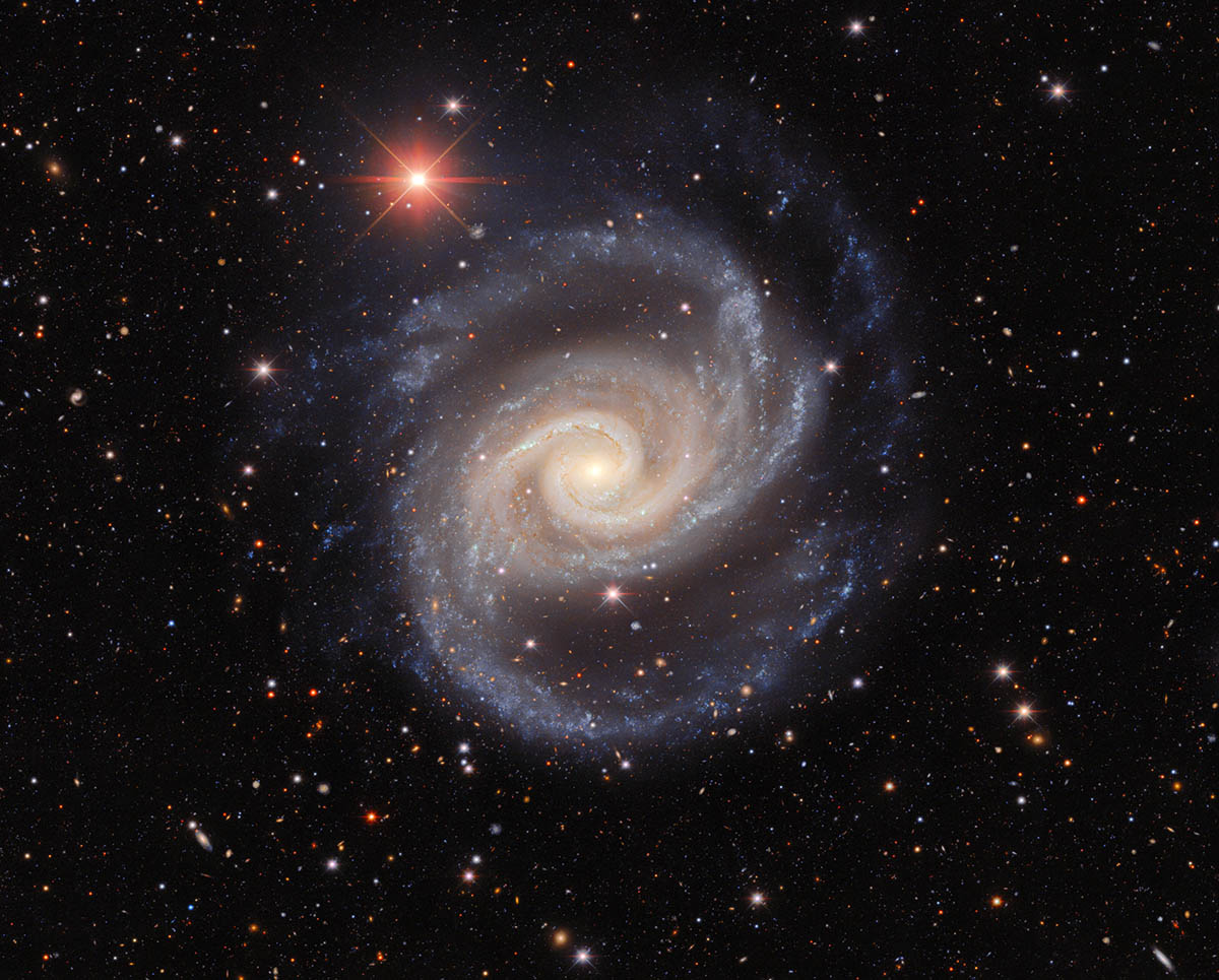 This image, taken by astronomers using the US Department of Energy-fabricated Dark Energy Camera on the Víctor M. Blanco 4-meter Telescope at Cerro Tololo Inter-American Observatory, a Program of NSF’s NOIRLab, captures the galaxy NGC 1566 as it twirls, flinging its arms through the vastness of space. 