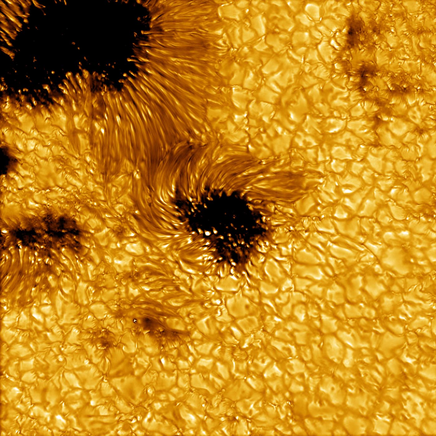 A newly released high-resolution image of solar sunspots captured by the Inouye Solar Telescope on May 11, 2021 (not from the first science observation). The data leading to this image were acquired with the Visible Broadband Imager blue channel at a wavelength of 450 nanometers.