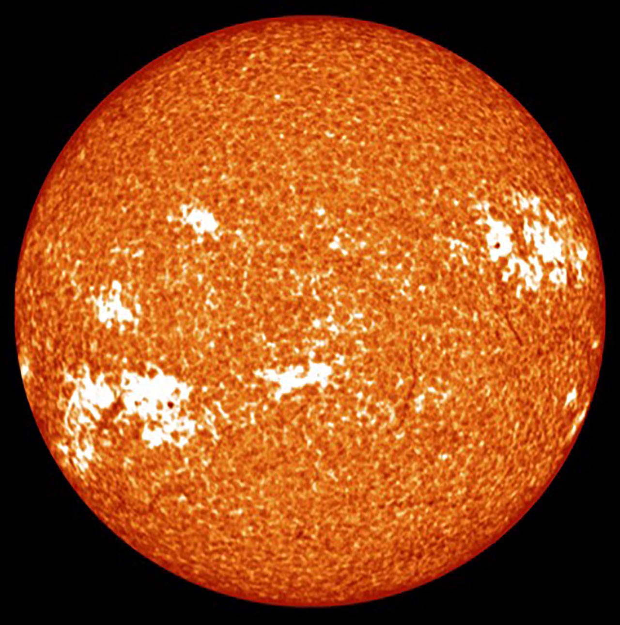  In this image of the solar chromosphere, taken at the center of the CaII K (393 nm) line, plages appear as patchy bright regions typically surrounding dark sunspots. Image taken with the Evans facility spectroheliograph at Sacramento Peak Observatory, NM.