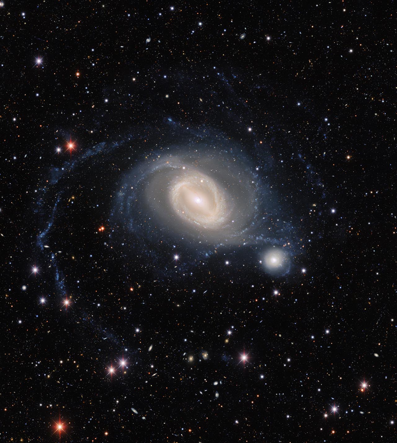 The interacting galaxy pair NGC 1512 and NGC 1510 take center stage in this image from the Dark Energy Camera, a state-of-the art wide-field imager on the Víctor M. Blanco 4-meter Telescope at Cerro Tololo Inter-American Observatory, a Program of NSF’s NOIRLab. NGC 1512 has been in the process of merging with its smaller galactic neighbor for 400 million years, and this drawn-out interaction has ignited waves of star formation and warped both galaxies.