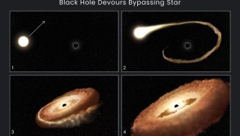STScI: Hubble Finds Hungry Black Hole Twisting Captured Star Into Donut Shape