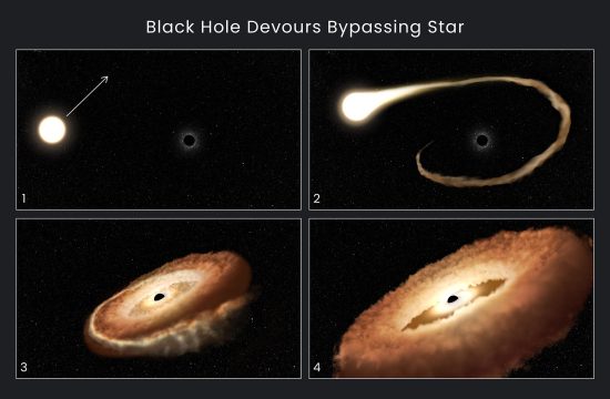STScI: Hubble Finds Hungry Black Hole Twisting Captured Star Into Donut Shape