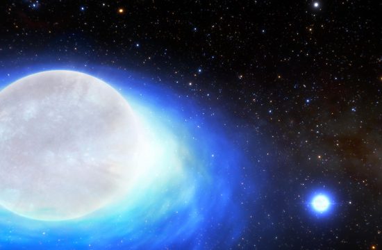 Artist’s Impression of Kilonova Progenitor Star System