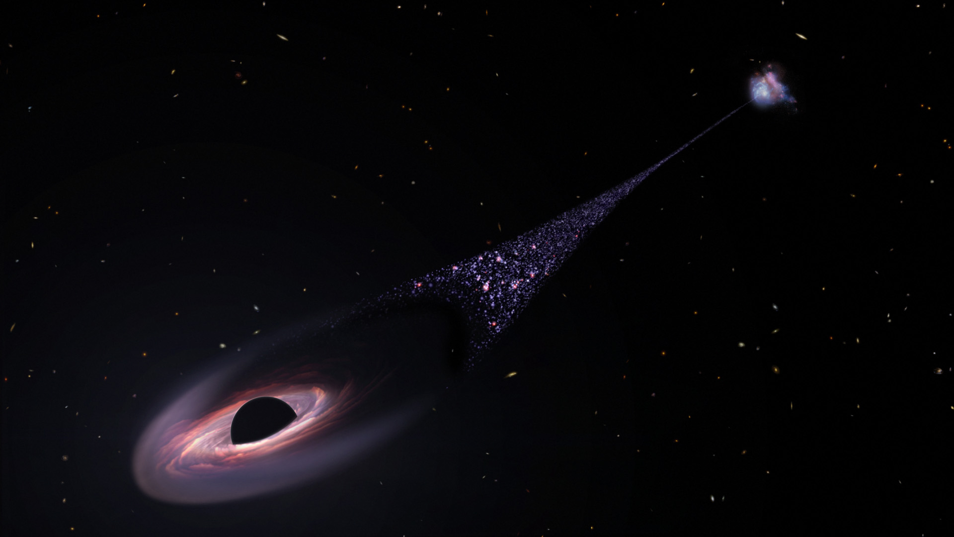 This illustration shows a black field speckled with white, yellow and red galaxies. A black hole near the bottom left corner of the image plows through space, leaving a diagonal trail of newborn stars stretching back to the black hole's parent galaxy in the upper right corner. The black hole is represented by a black half-sphere. It is encircled by an elongated disk of material compressed on the lower left side and trailing off on the upper right side. The material closest to the black hole appears pink, white and streaky. Beyond this, the leading edge of the disk, near the bottom, left corner, is milky violet. The disk trails off behind the black hole, becoming black. Beyond the disk, a diagonal "contrail" of blue and pink stars extends toward the blue-and-pink parent galaxy. The bridge of stars trails off, becoming narrower as it approaches the galaxy. For more details, read the Extended Text Description.