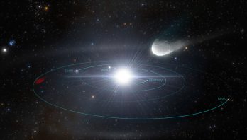 Rubin Observatory: Visitors from Distant Stars: Rubin Observatory Will Detect an Abundance of Interstellar Objects Careening Through Our Solar System