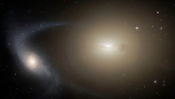 Gemini North Reveals the Formation of Dense Dwarf Galaxy ‘Fossils’
