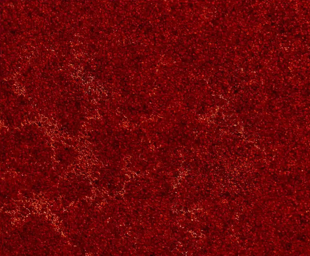 Image is completely filled with a dark red granulation 