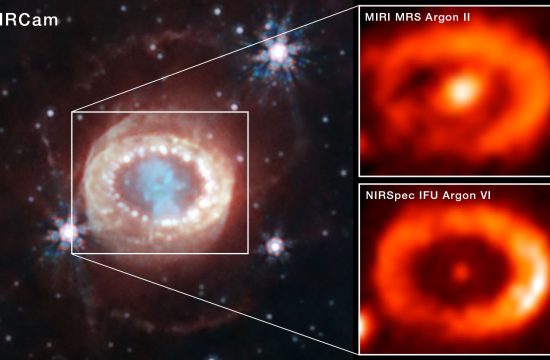 A three-panel image. At left, a mottled light pink oval with a light blue, keyhole-shaped blob in the middle, surrounded by a few stars. At right, two stacked panels show a bright orange ring with an orange dot in the middle.