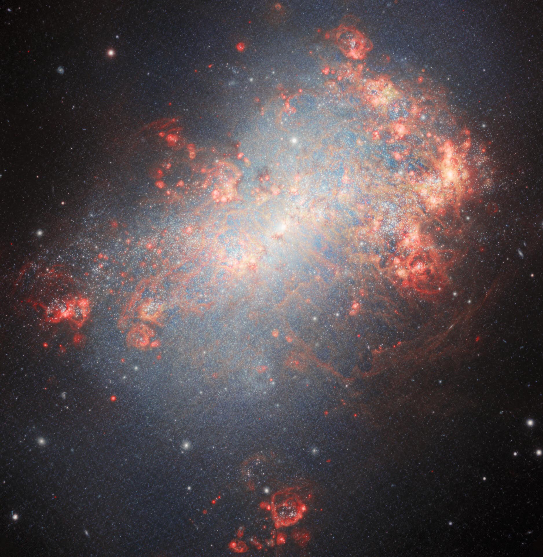 An explosive array of bright pinks and blues on a dark starry sky.