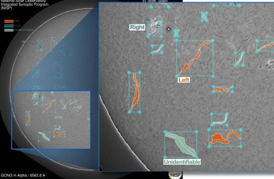 Graphic showing a close up of a section of the Sun (in grey) with several filaments in color overlaid on it.