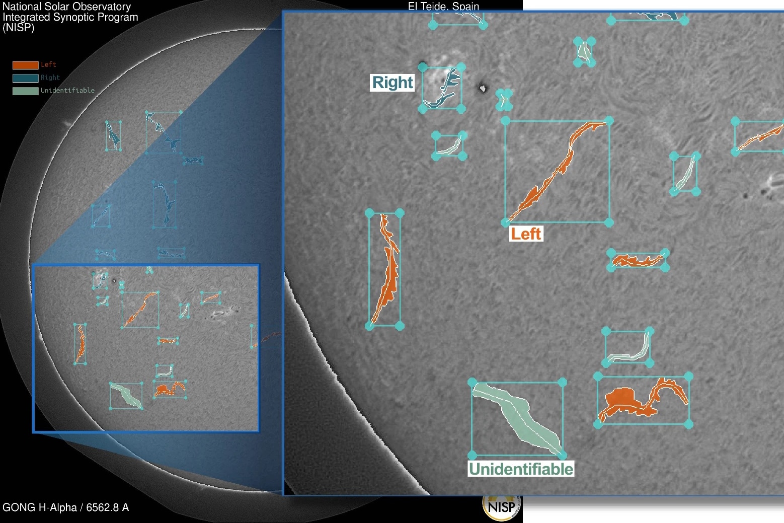 Graphic showing a close up of a section of the Sun (in grey) with several filaments in color overlaid on it.