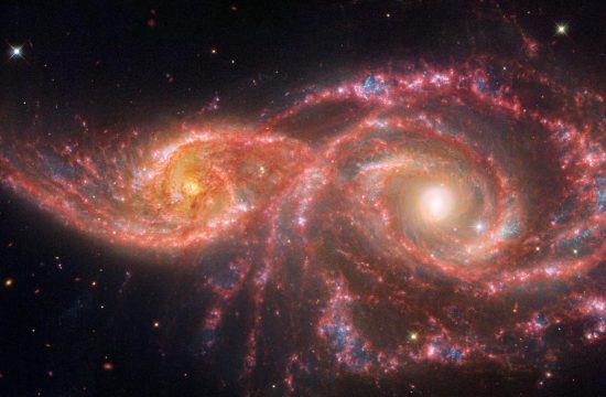 Two spiral galaxies take the shape of a colorful beaded mask that sits above the nose. The galaxy at left, IC 2163, is smaller, taking up a little over a quarter of the view. The galaxy at right, NGC 2207, takes up half the view, with its spiral arms reaching the edges. IC 2163 has a bright orange core, with two prominent spiral arms that rotate counter clockwise and become straighter towards the ends, the left side extending almost to the edge. Its arms are a mix of pink, white, and blue, with an area that takes the shape of an eyelid appearing whitest. NGC 2207 has a very bright core. Overall, it appears to have larger, thicker spiral arms that spin counter clockwise. This galaxy also contains more and larger blue areas of star formation that poke out like holes from the pink spiral arms. In the middle, the galaxies’ arms appear to overlap. The edges show the black background of space, including extremely distant galaxies that look like orange and red smudges, and a few foreground stars.
