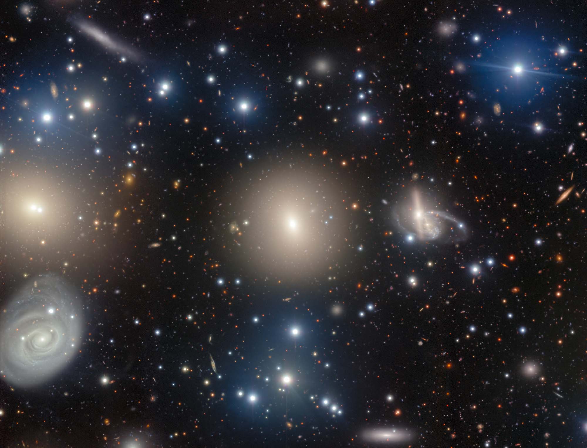 NGC 1270: A Galactic Archipelago is shown as glittering stars on a deep black background with large fuzzy halos of yellow