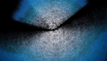 To blue and black speckled fans originate from the top and bottom of this image and meet in the middle.