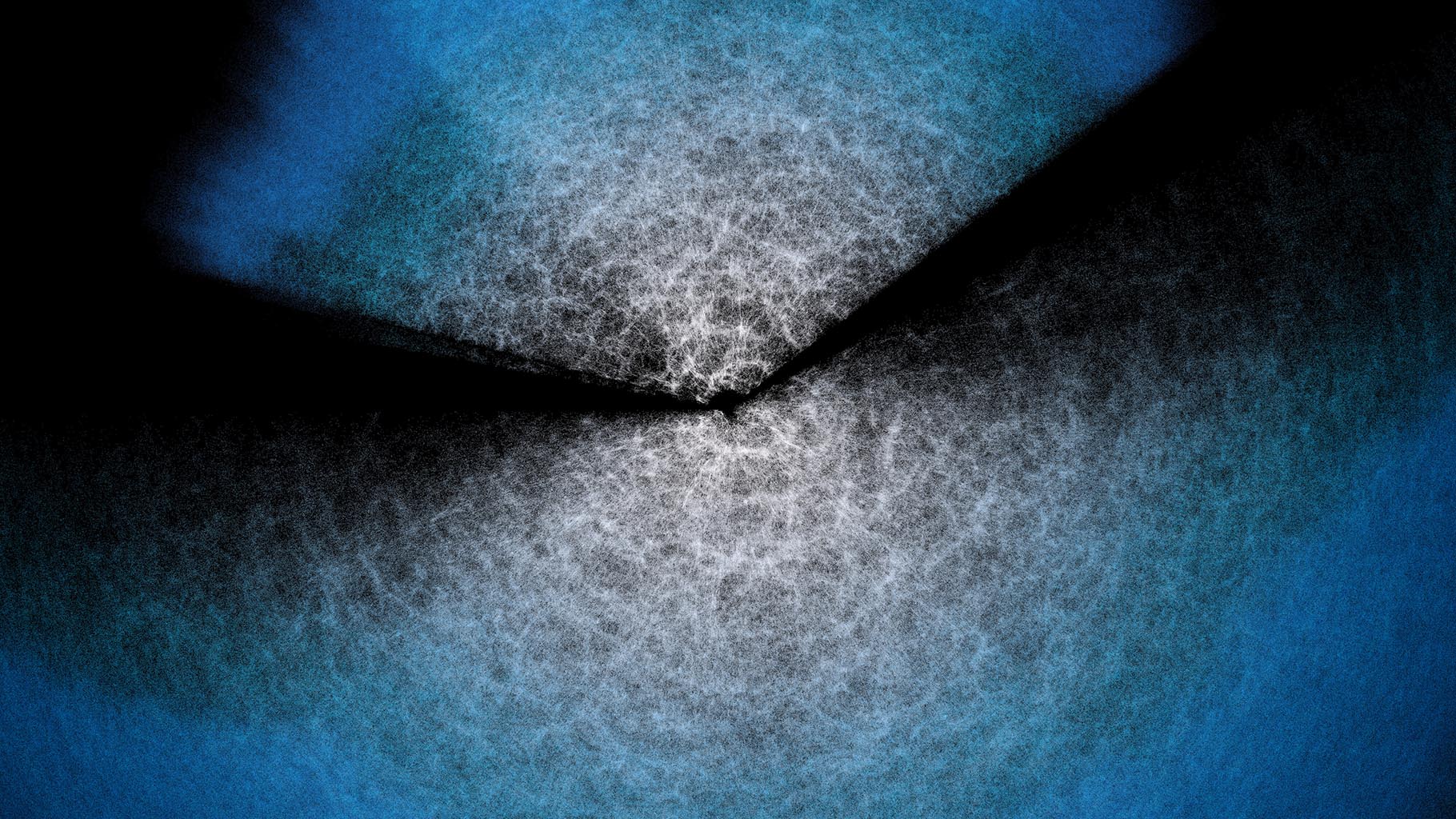 To blue and black speckled fans originate from the top and bottom of this image and meet in the middle. 