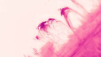 Dark pink loops rise and fall from a swath of dark pink in the bottom right corner over a light pink background.
