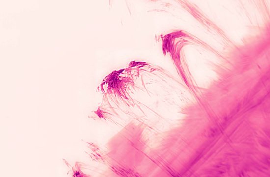 Dark pink loops rise and fall from a swath of dark pink in the bottom right corner over a light pink background.