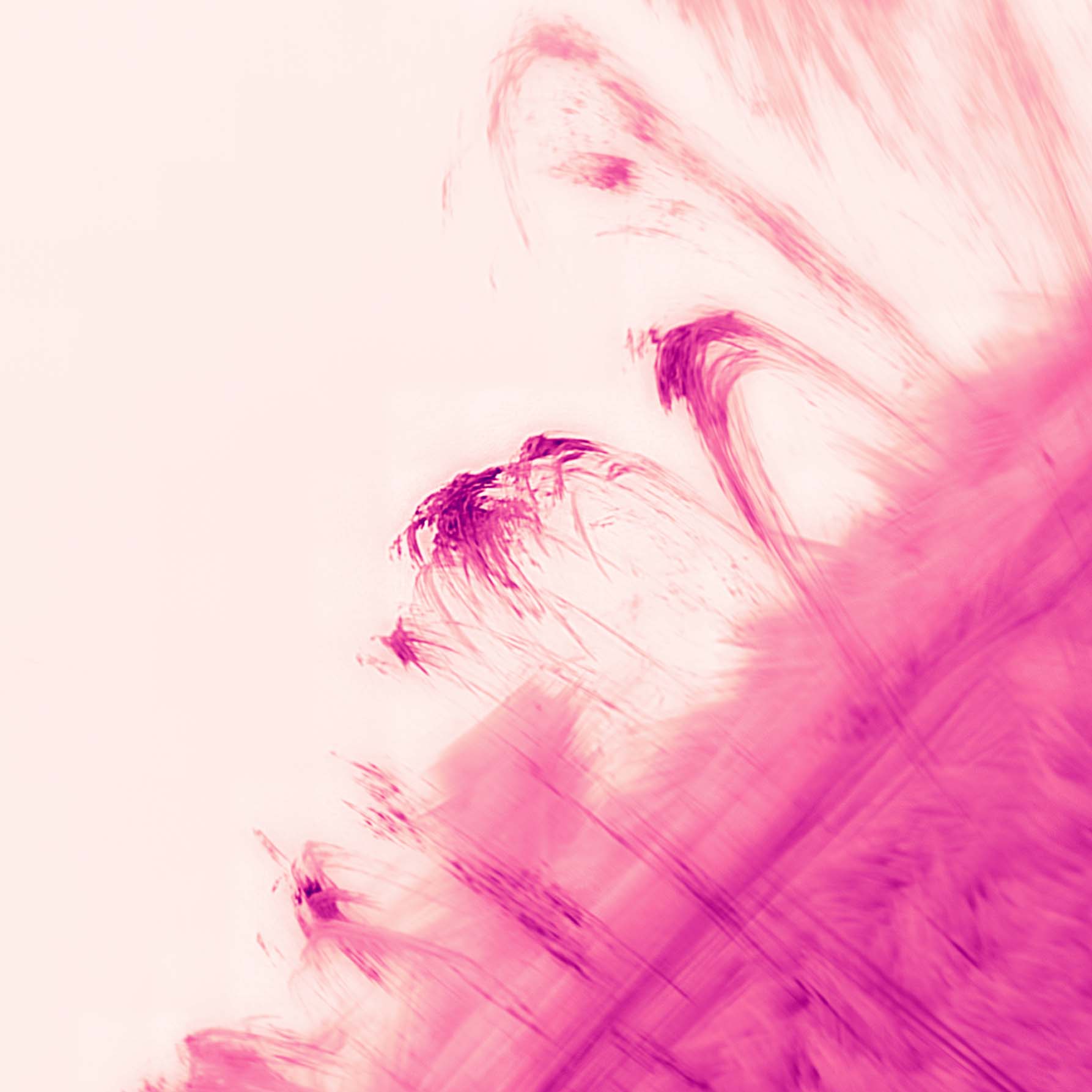 Dark pink loops rise and fall from a swath of dark pink in the bottom right corner over a light pink background.