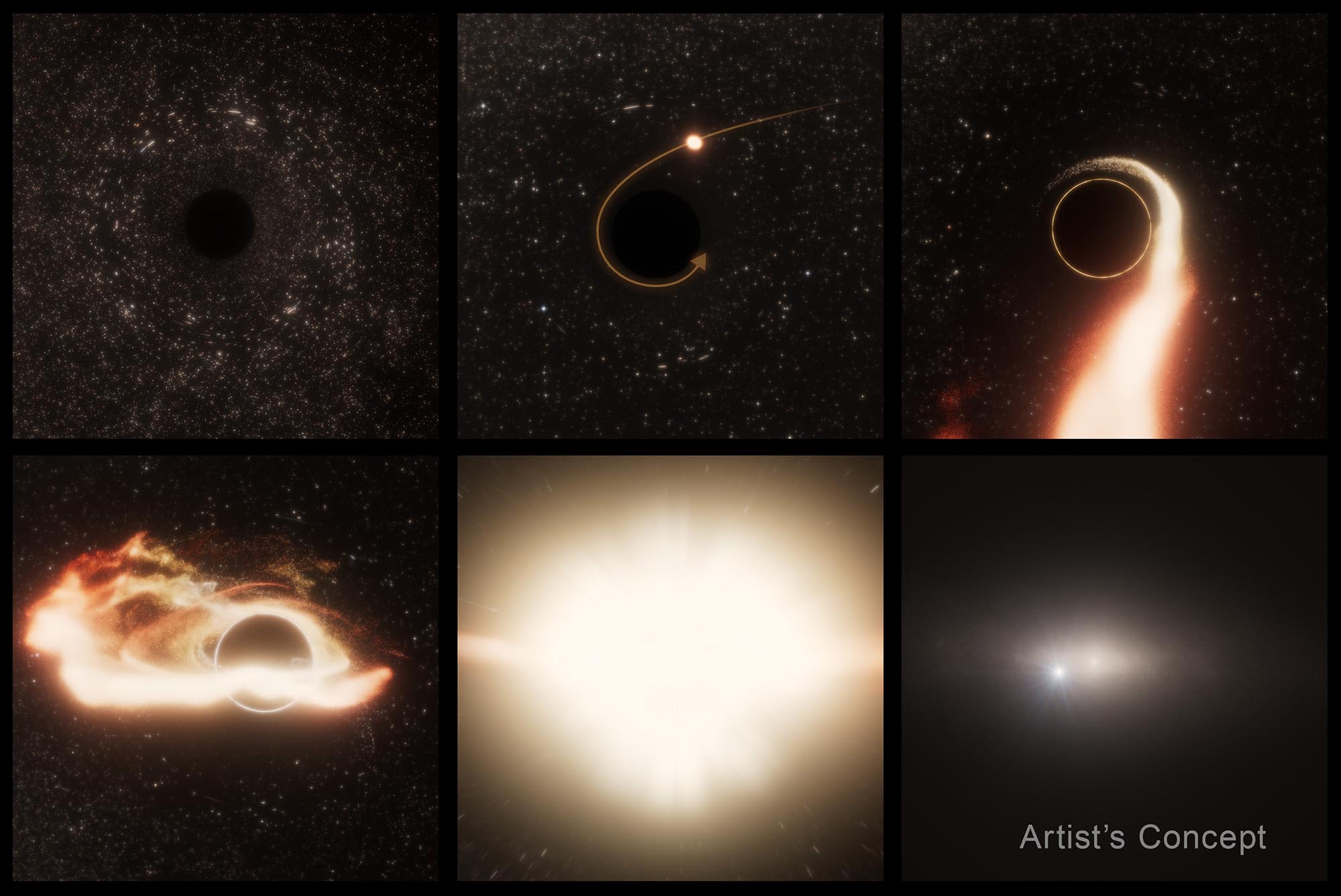 Six-panel illustration marked "Artist's Concept." The upper left panel shows the silhouette of supermassive black hole that is adrift inside a galaxy. The middle upper panel shows a yellow star drifting near the black hole. The three following panels show the star being shredded in bright white concentric streamers followed by a white explosion. the bottom right panel is an external view of the galaxy showing a bright white star-like object that is the site if the explosion as viewed in X-rays and visible light.