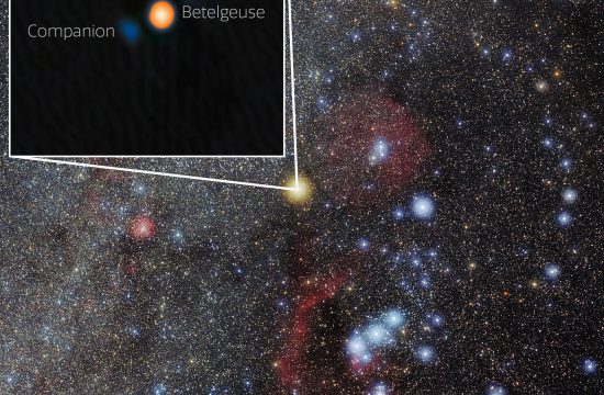 Betelgeuse and Its Stellar Companion in Orion