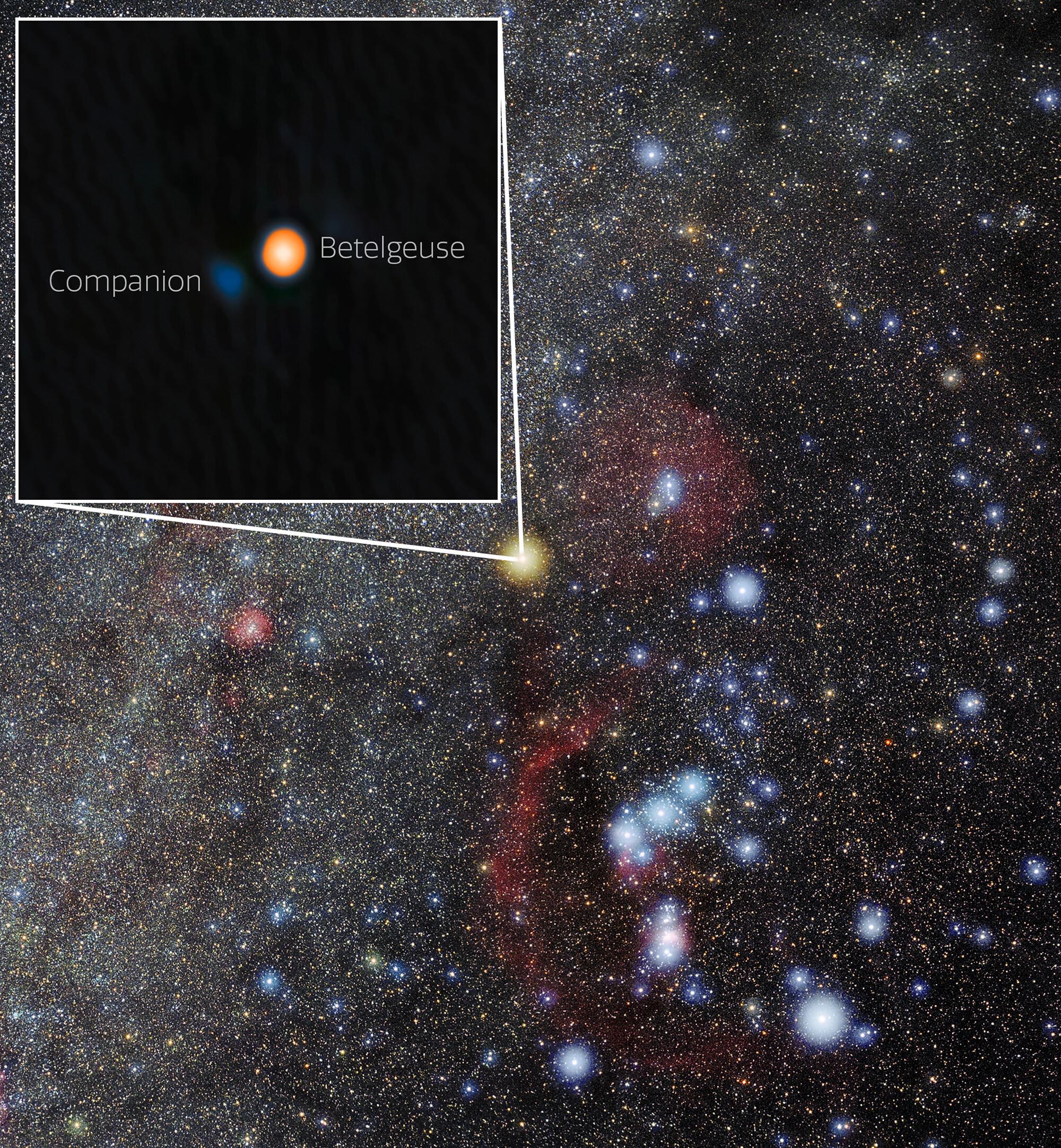 Betelgeuse and Its Stellar Companion in Orion