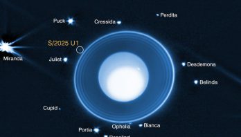 An image titled “James Webb Space Telescope, Uranus, Discovery of Moon S 2025 U1”. At center is the planet Uranus, a blue globe with a large white spot occupying most of the planet. It’s surrounded by a series of rings that get brighter as you move outward. Beyond the rings are 14 labeled moons appearing as points of light. Just beyond the outermost ring at 10 o’clock, a faint moon is circled and labeled S 2025 U1. At far left, the brightest moon is labeled Miranda. Additional moons clockwise from Miranda are Puck, Cressida, Mab, Perdita, Desdemona, Belinda, Bianca, Ophelia, Rosalind, Portia, Cupid, and Juliet. At lower right are compass arrows with east pointing to 11 o’clock and north pointing to 2 o’clock. At bottom, a label reads NIRCam F150W2.