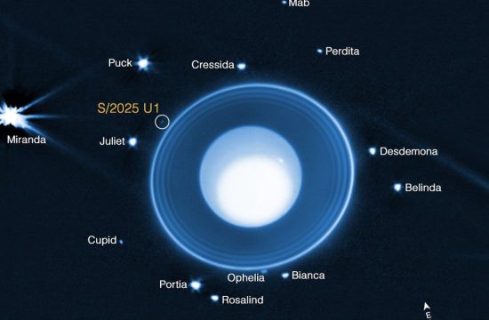 An image titled “James Webb Space Telescope, Uranus, Discovery of Moon S 2025 U1”. At center is the planet Uranus, a blue globe with a large white spot occupying most of the planet. It’s surrounded by a series of rings that get brighter as you move outward. Beyond the rings are 14 labeled moons appearing as points of light. Just beyond the outermost ring at 10 o’clock, a faint moon is circled and labeled S 2025 U1. At far left, the brightest moon is labeled Miranda. Additional moons clockwise from Miranda are Puck, Cressida, Mab, Perdita, Desdemona, Belinda, Bianca, Ophelia, Rosalind, Portia, Cupid, and Juliet. At lower right are compass arrows with east pointing to 11 o’clock and north pointing to 2 o’clock. At bottom, a label reads NIRCam F150W2.