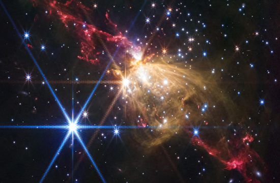 Gaseous yellow-orange filaments look like a rose seen from the side and tilted slightly from upper left to lower right, slightly higher than the center of the frame. Extending from the rose to upper left and lower right are gaseous outflows that appear as red lobes that have an overall shape of tall, narrow triangles with rounded tips. Each red triangle is made up of wavy, irregular lines. Dozens of stars are scattered across the field. One particularly bright white star with eight diffraction spikes is located at the top of the yellow rose. Another bright blue star with even more prominent diffraction spikes is to its lower left. The background of space is black.