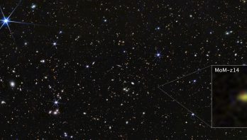 A wide field of view showing deep space, dotted with many small galaxies and a few foreground stars that display six diffraction spikes. One galaxy is highlighted with a magnified image in a graphic pull-out box in the lower right corner. The galaxy is labeled MoM-z14 and appears as a blurry yellow blob with a small red area at its top.