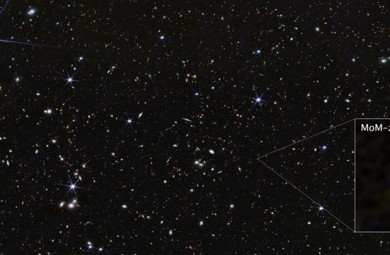 A wide field of view showing deep space, dotted with many small galaxies and a few foreground stars that display six diffraction spikes. One galaxy is highlighted with a magnified image in a graphic pull-out box in the lower right corner. The galaxy is labeled MoM-z14 and appears as a blurry yellow blob with a small red area at its top.