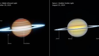 Side-by-side comparison of Saturn observed at different wavelengths and times show how differently it appears in infrared, on the left, versus visible light, on the right. Left image is labeled Saturn, Webb Infrared Light, November 29, 2024. Right image is labeled Saturn, Hubble Visible Light, August 22, 2024. In infrared, Saturn has horizontal bands, with bands at the north and south poles appearing darker orange and lightening to tan as they approach the equator. The north and south poles glow a greenish-grey. The rings appear in an icy neon white. White dots, representing several of Saturn’s moons, are labeled Janus, Dione, and Enceladus. In visible, Saturn’s horizontal bands appear pale yellow, with some bands towards the north and south pole having a light blue hue. The rings appear bright white, glowing slightly less than Webb’s infrared image. White dots, representing several of Saturn’s moons, are labeled Janus, Mimas, and Epimetheus.