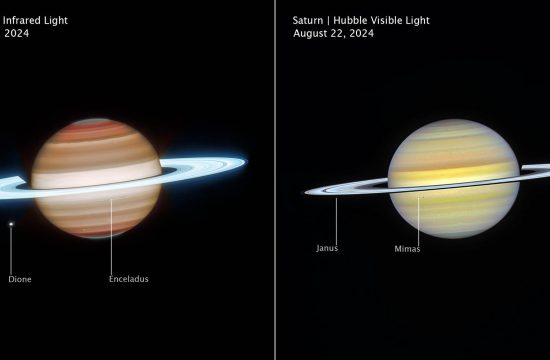 Side-by-side comparison of Saturn observed at different wavelengths and times show how differently it appears in infrared, on the left, versus visible light, on the right. Left image is labeled Saturn, Webb Infrared Light, November 29, 2024. Right image is labeled Saturn, Hubble Visible Light, August 22, 2024. In infrared, Saturn has horizontal bands, with bands at the north and south poles appearing darker orange and lightening to tan as they approach the equator. The north and south poles glow a greenish-grey. The rings appear in an icy neon white. White dots, representing several of Saturn’s moons, are labeled Janus, Dione, and Enceladus. In visible, Saturn’s horizontal bands appear pale yellow, with some bands towards the north and south pole having a light blue hue. The rings appear bright white, glowing slightly less than Webb’s infrared image. White dots, representing several of Saturn’s moons, are labeled Janus, Mimas, and Epimetheus.