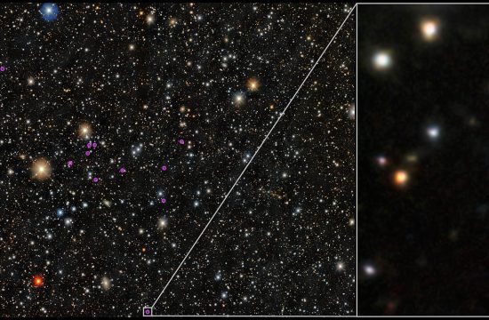 This image shows Star PicII-503 in Pictor II ultra-faint dwarf galaxy. The right side is a pullout from the very starry field on the left. In the middle of the pullout on the right is a blurry white light that is Picll-503