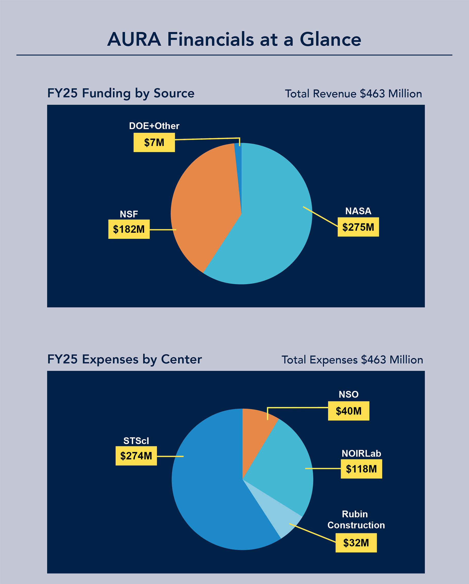 An image with two charts. Top chart shows Revenue and the bottom expenses. Both total to $463 million.