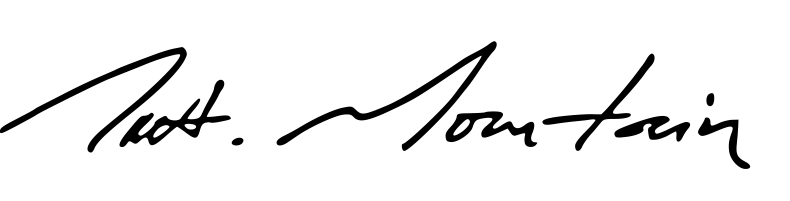 Black signature on a white background