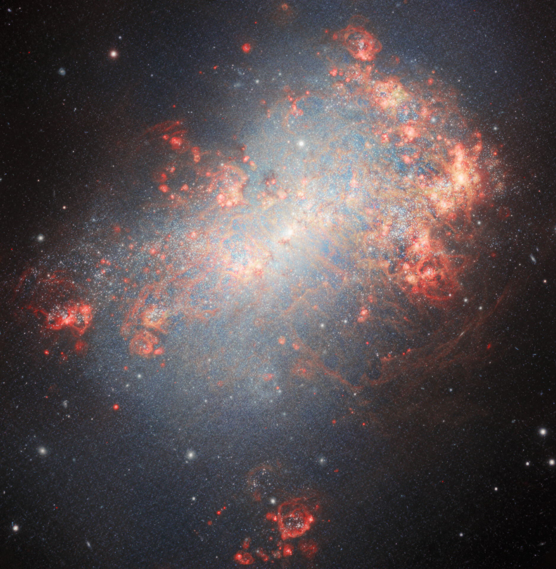 Red and white glowing amorphous stars on a black background