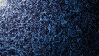 Light interconnected filaments on a dark background creates an interconnected structure. The color of the background graduates from lighter in the top left corner to darkest in the bottom left corner.