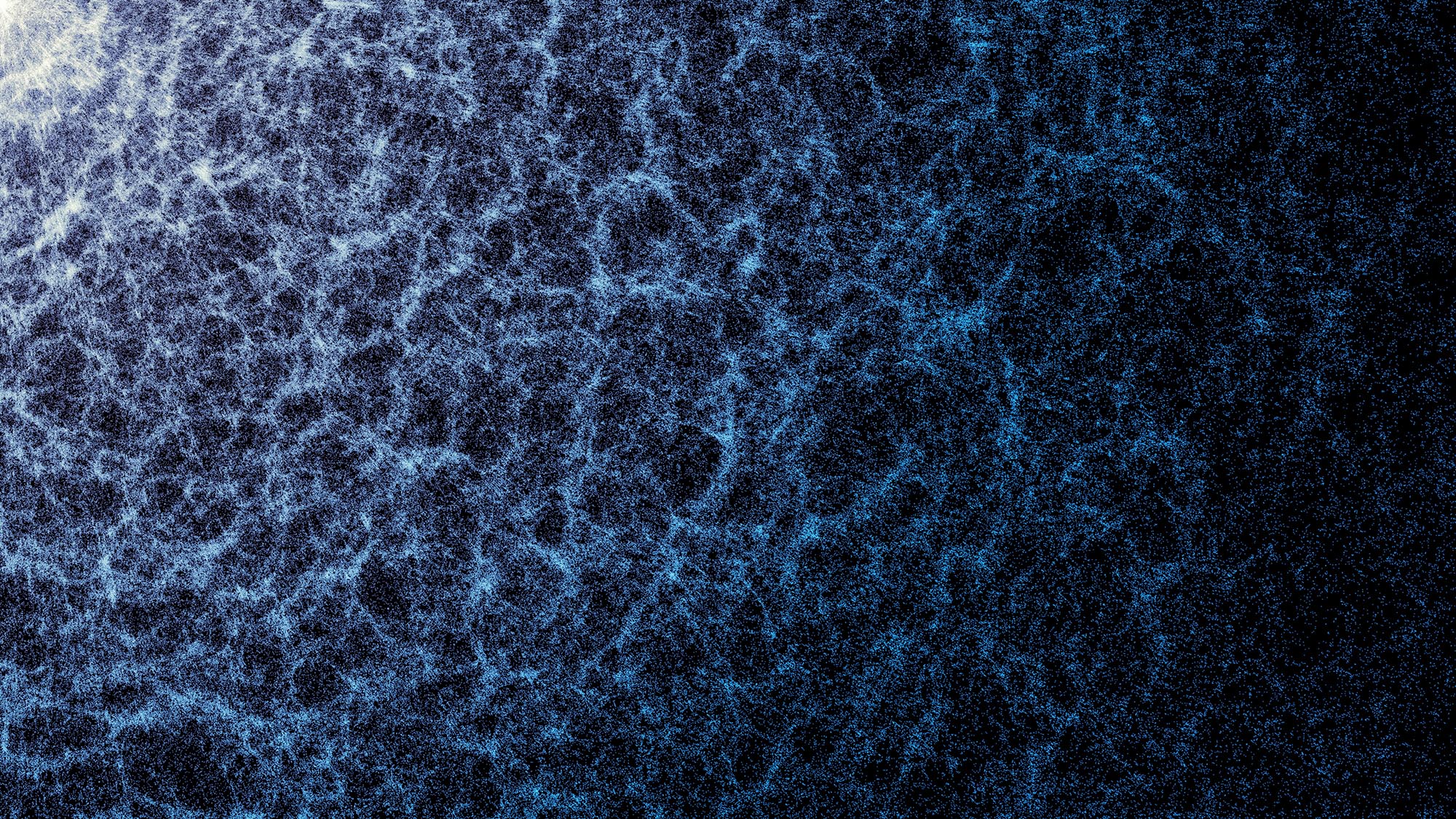 Light interconnected filaments on a dark background creates an interconnected structure. The color of the background graduates from lighter in the top left corner to darkest in the bottom left corner.